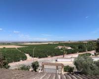 Resale - Detached Villa - Algorfa - Lomas de La Juliana