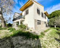 Resale - Detached Villa - Benejuzar - Comunidad Valenciana
