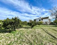 Resale - Detached Villa - Benejuzar - Comunidad Valenciana