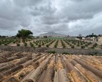 Resale - Detached Villa - Callosa de Segura - Callosa de SeguraAlicanteValenciaSpain