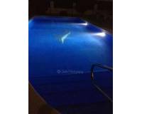 Resale - Detached Villa - Catral - CatralAlicanteValenciaSpain