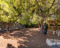 Resale - Detached Villa - Ciudad Quesada - Doña Pepa