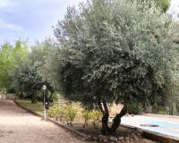 Resale - Detached Villa - Cocentaina