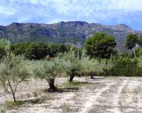 Resale - Detached Villa - Cocentaina