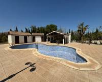 Resale - Detached Villa - Crevillente - CrevillenteAlicanteValenciaSpain