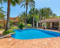 Resale - Detached Villa - Elche/Elx