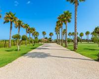 Resale - Detached Villa - Elche