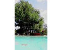 Resale - Detached Villa - Gea Y Truyols