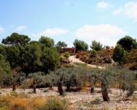 Resale - Detached Villa - Gea Y Truyols