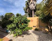 Resale - Detached Villa - Guardamar Del Segura - El Raso