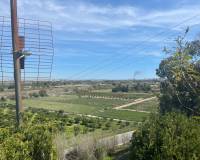 Resale - Detached Villa - Guardamar Del Segura - Valencian Community
