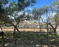 Resale - Detached Villa - Guardamar Del Segura - Valencian Community