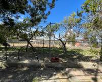 Resale - Detached Villa - Guardamar Del Segura - Valencian Community