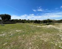 Resale - Detached Villa - Guardamar Del Segura - Valencian Community