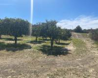 Resale - Detached Villa - Guardamar Del Segura - Valencian Community