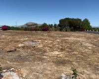 Resale - Detached Villa - Jacarilla - Jacarilla - Country