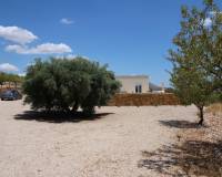 Resale - Detached Villa - Macisvenda