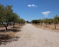 Resale - Detached Villa - Macisvenda