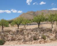 Resale - Detached Villa - Macisvenda