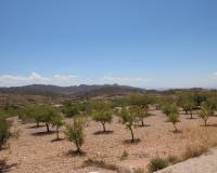 Resale - Detached Villa - Macisvenda