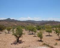 Resale - Detached Villa - Macisvenda