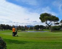 Resale - Detached Villa - Oliva