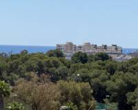 Resale - Detached Villa - Orihuela Costa - Mil Palmeras