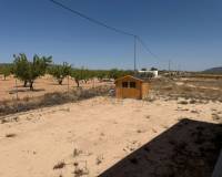 Resale - Detached Villa - Pinoso