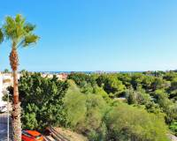 Resale - Detached Villa - Playa Flamenca