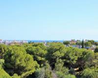 Resale - Detached Villa - Playa Flamenca