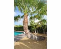 Resale - Detached Villa - Rojales - Ciudad Quesada