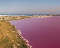 Resale - Detached Villa - Torrevieja - Torrevieja - Centre