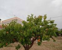 Resale - Detached Villa - Yecla