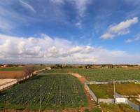 Resale - Duplex - Daya Vieja - Daya Vieja - Town