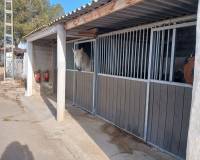 Resale - Equestrian property - Monovar