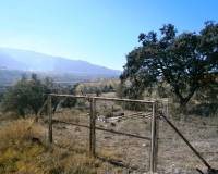 Resale - Finca - Agres