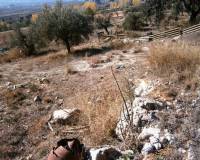 Resale - Finca - Agres