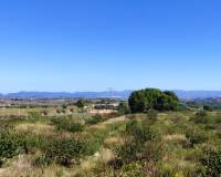 Resale - Finca - Albaida