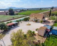 Resale - Finca - Albatera