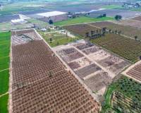 Resale - Finca - Albatera