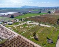 Resale - Finca - Albatera