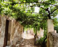 Resale - Finca - Alcoy