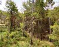 Resale - Finca - Alcoy