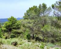 Resale - Finca - Alcoy