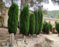 Resale - Finca - Alcoy