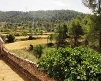 Resale - Finca - Alcoy