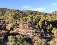 Resale - Finca - Alcoy