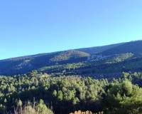 Resale - Finca - Alcoy