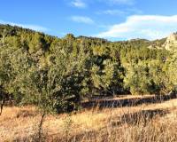 Resale - Finca - Alcoy