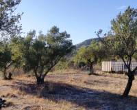 Resale - Finca - Alcoy